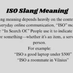 ISO Slang Meaning