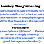 Lowkey Slang Meaning