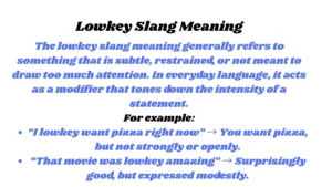 Lowkey Slang Meaning