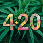 420 Slang Meaning