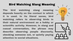 Bird Watching Slang Meaning