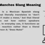No Manches Slang Meaning