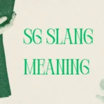 SG Slang Meaning