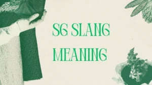 SG Slang Meaning