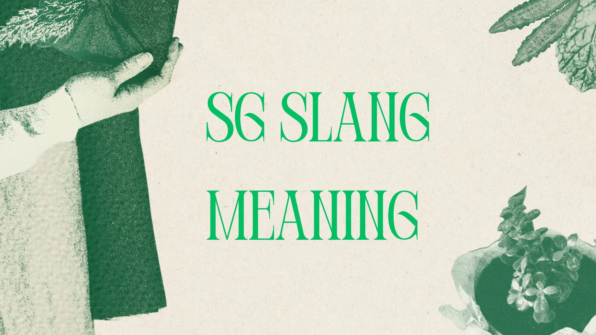 SG Slang Meaning