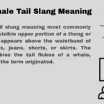 Whale Tail Slang Meaning