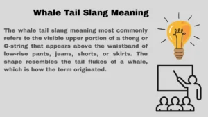 Whale Tail Slang Meaning