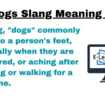 Dogs Slang Meaning Feet