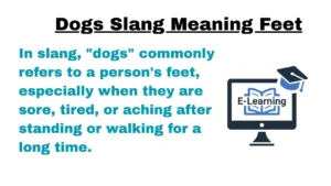 Dogs Slang Meaning Feet