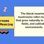 Mushrooms Slang Meaning