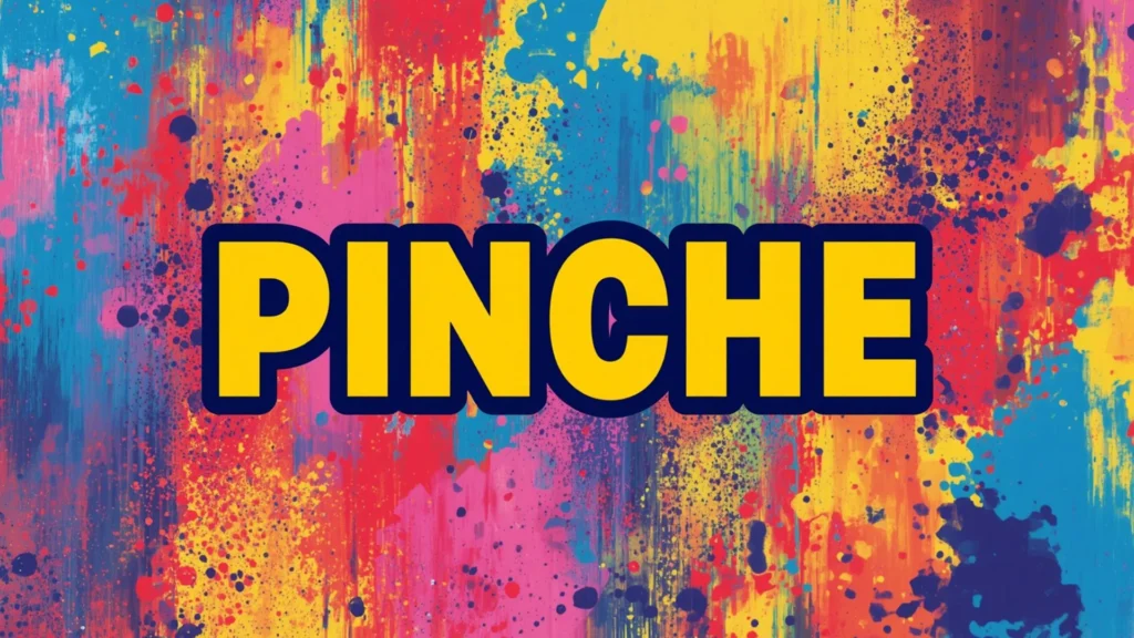 Pinche Meaning