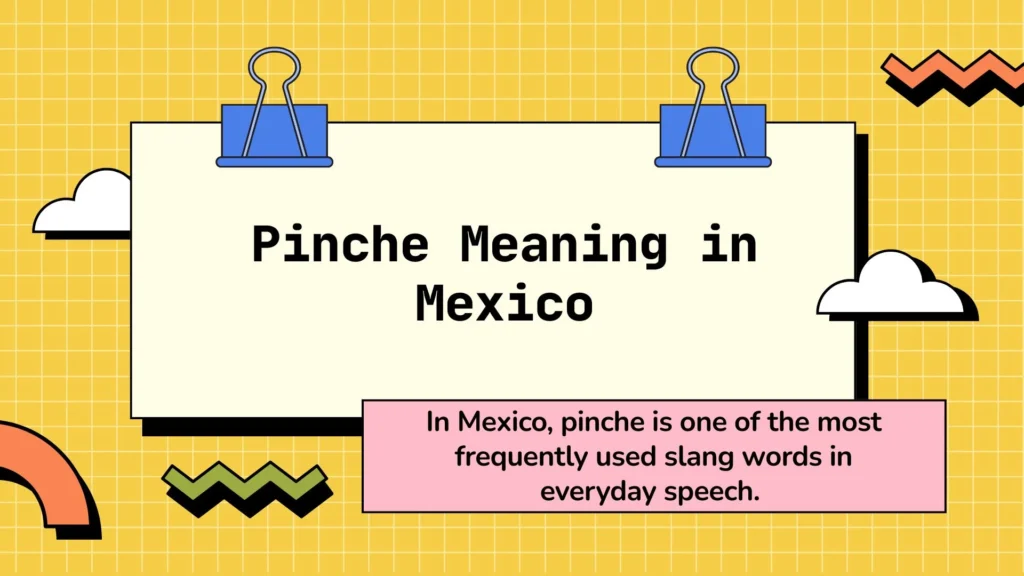 Pinche Meaning in Mexico