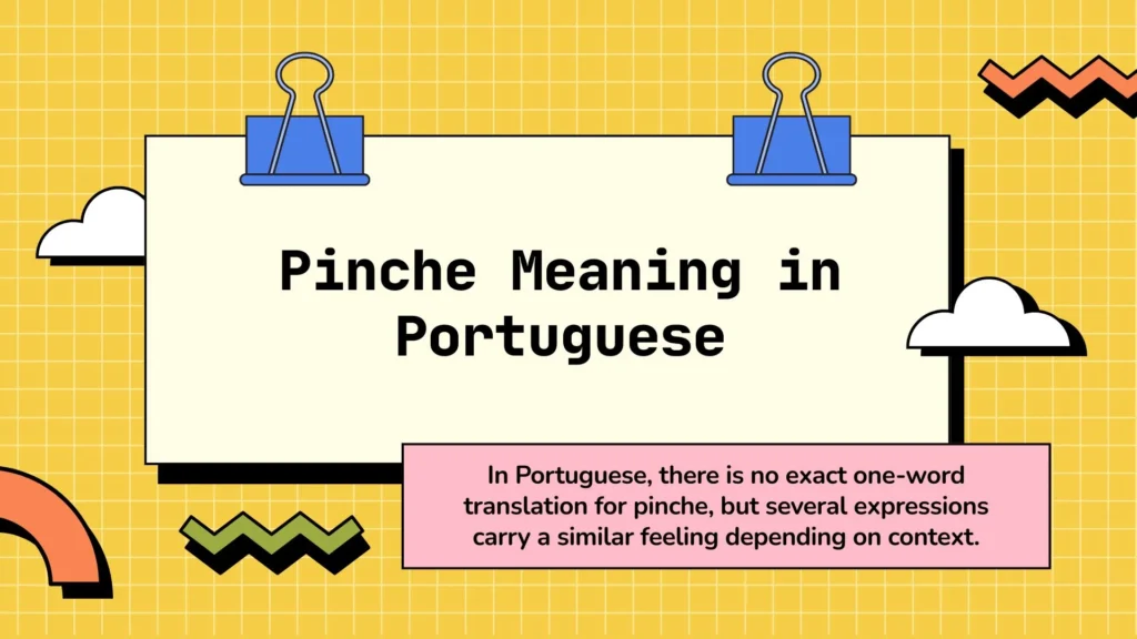 Pinche Meaning in Portuguese