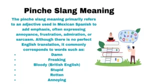 Pinche Slang Meaning