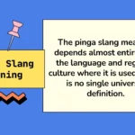 Pinga Slang Meaning