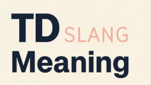 TD Slang Meaning