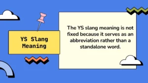 YS Slang Meaning